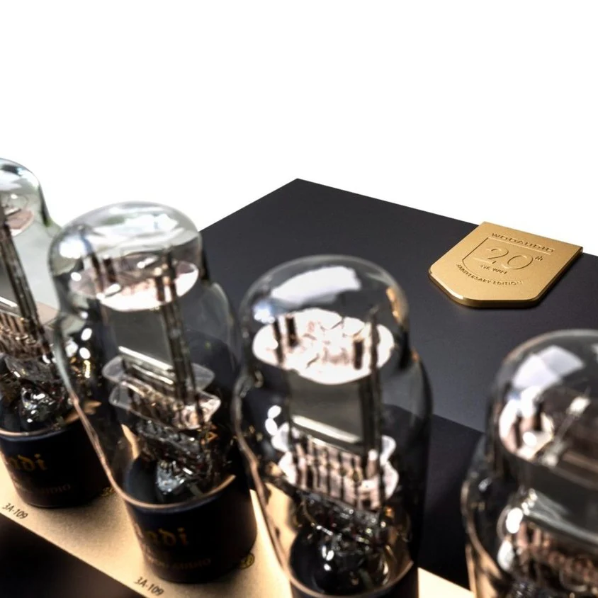 Woo Audio WA24 20th Anniversary Edition Headphone Amplifier - Image 4