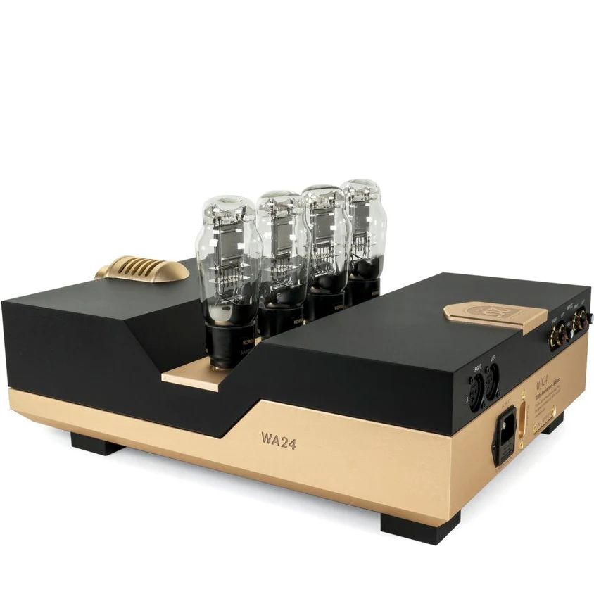Woo Audio WA24 20th Anniversary Edition Headphone Amplifier - Image 8